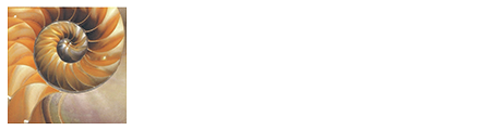 Hollingsworth Consulting